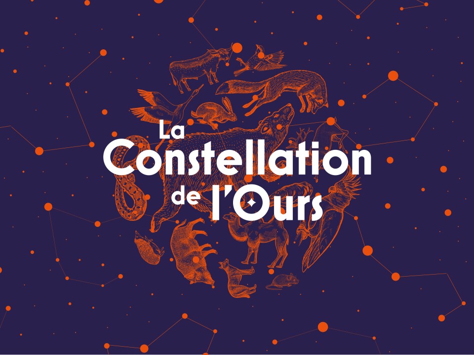 Constellation de l'ours