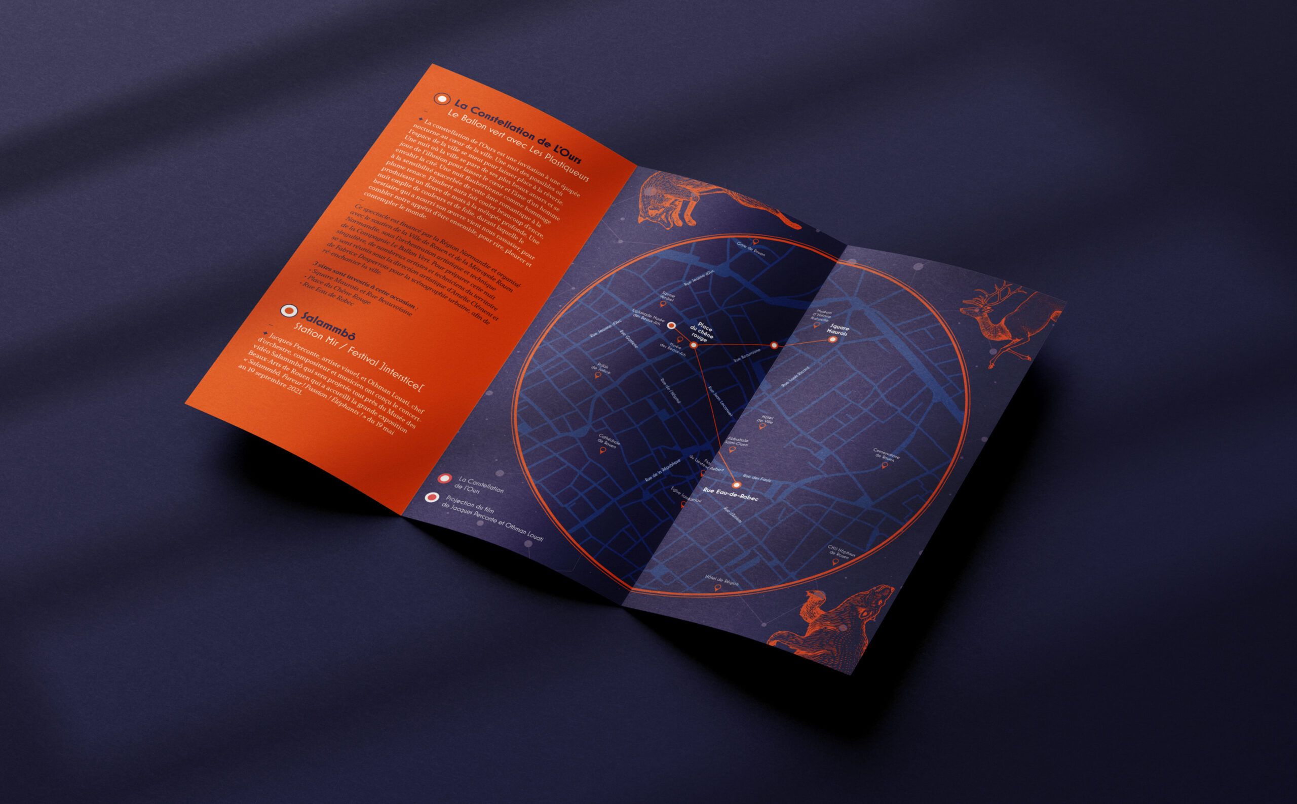 Constellation de l'ours