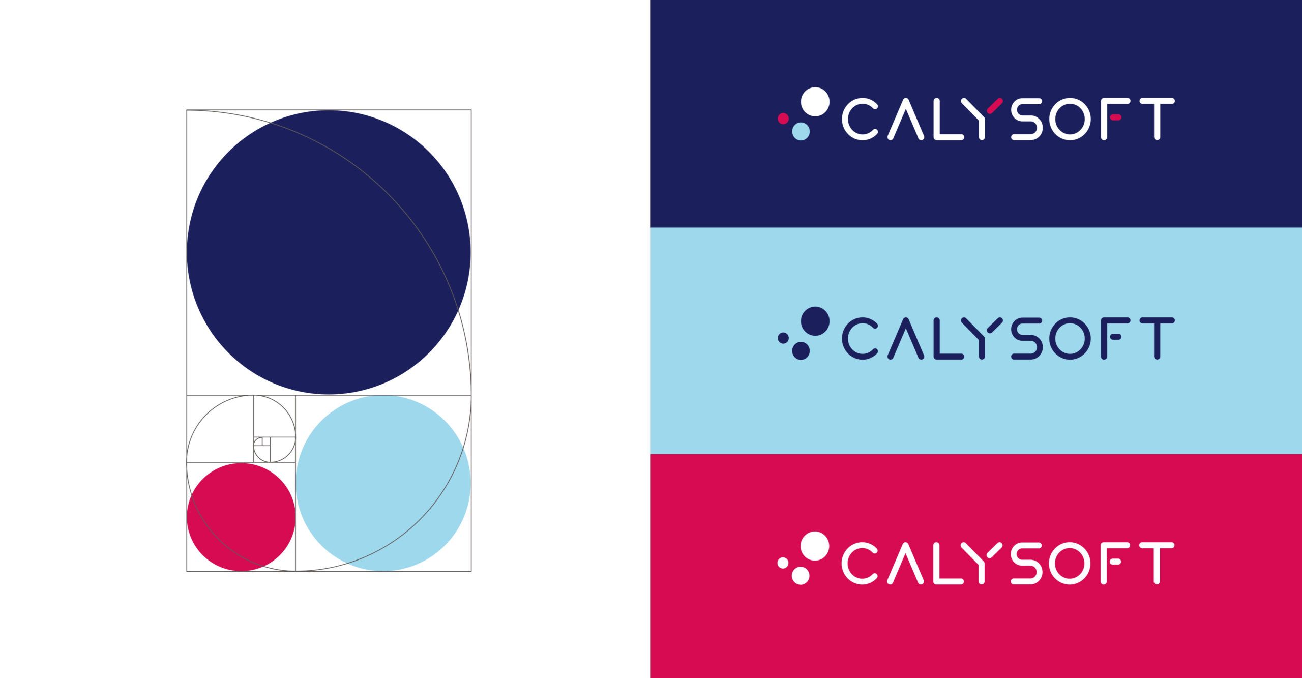 Création identité visuelle Calysoft