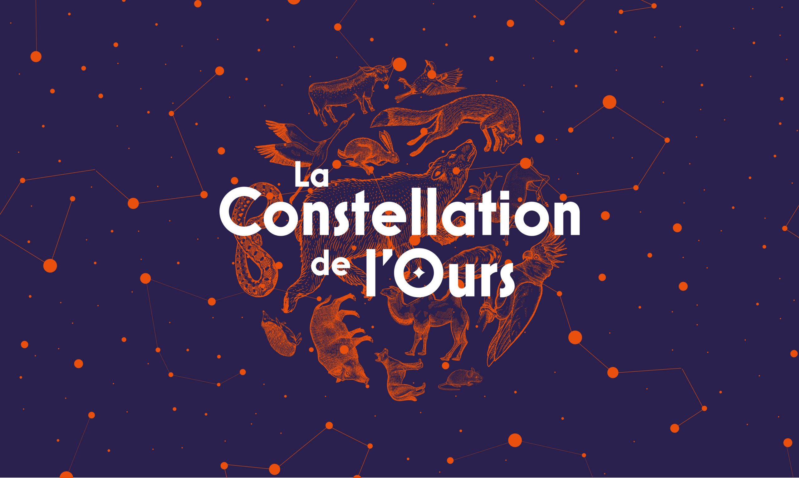 Constellation de l’Ours