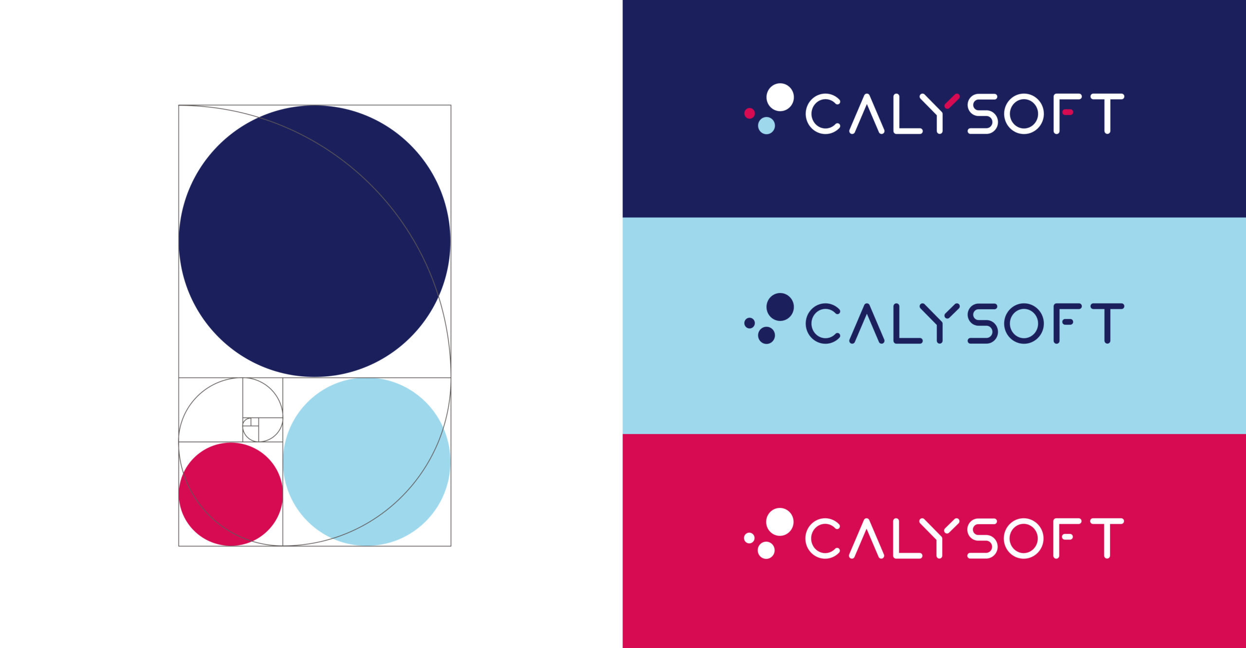 Création identité visuelle Calysoft