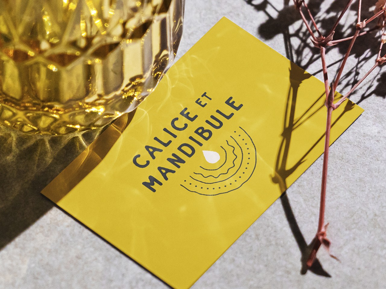 Calice & Mandibule